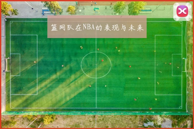 篮网队在NBA的表现与未来