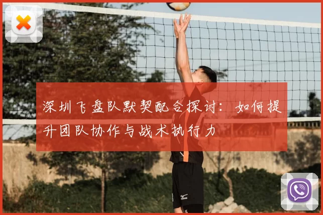 深圳飞盘队默契配合探讨:如何提升团队协作与战术执行力