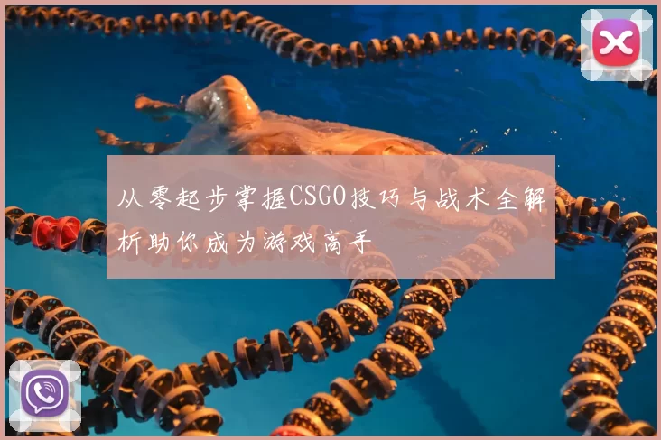 从零起步掌握CSGO技巧与战术全解析助你成为游戏高手
