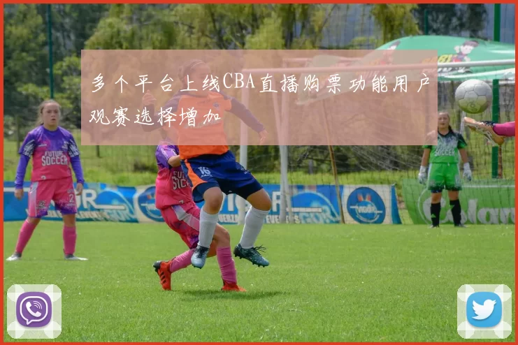多个平台上线CBA直播购票功能用户观赛选择增加