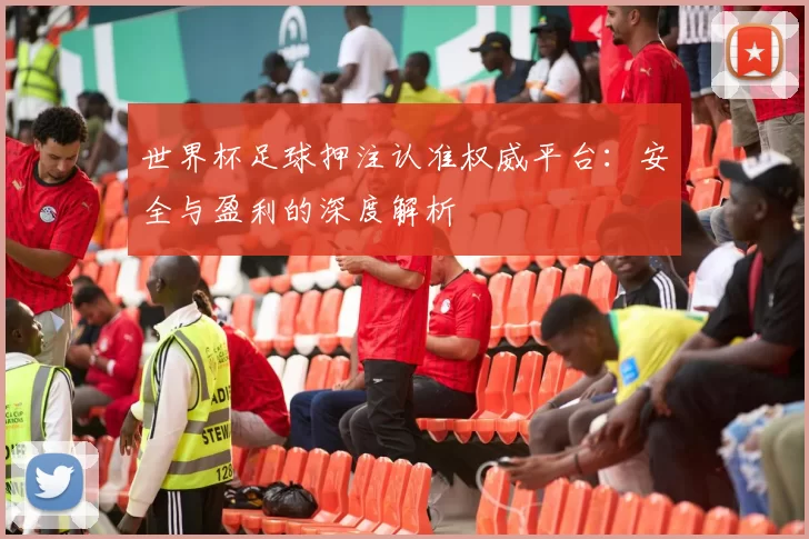 世界杯足球押注认准权威平台:安全与盈利的深度解析
