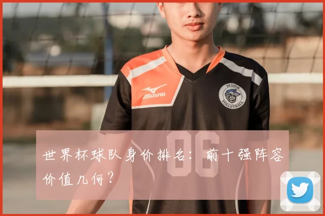 世界杯球队身价排名:前十强阵容价值几何?