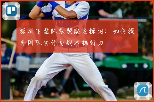 深圳飞盘队默契配合探讨:如何提升团队协作与战术执行力